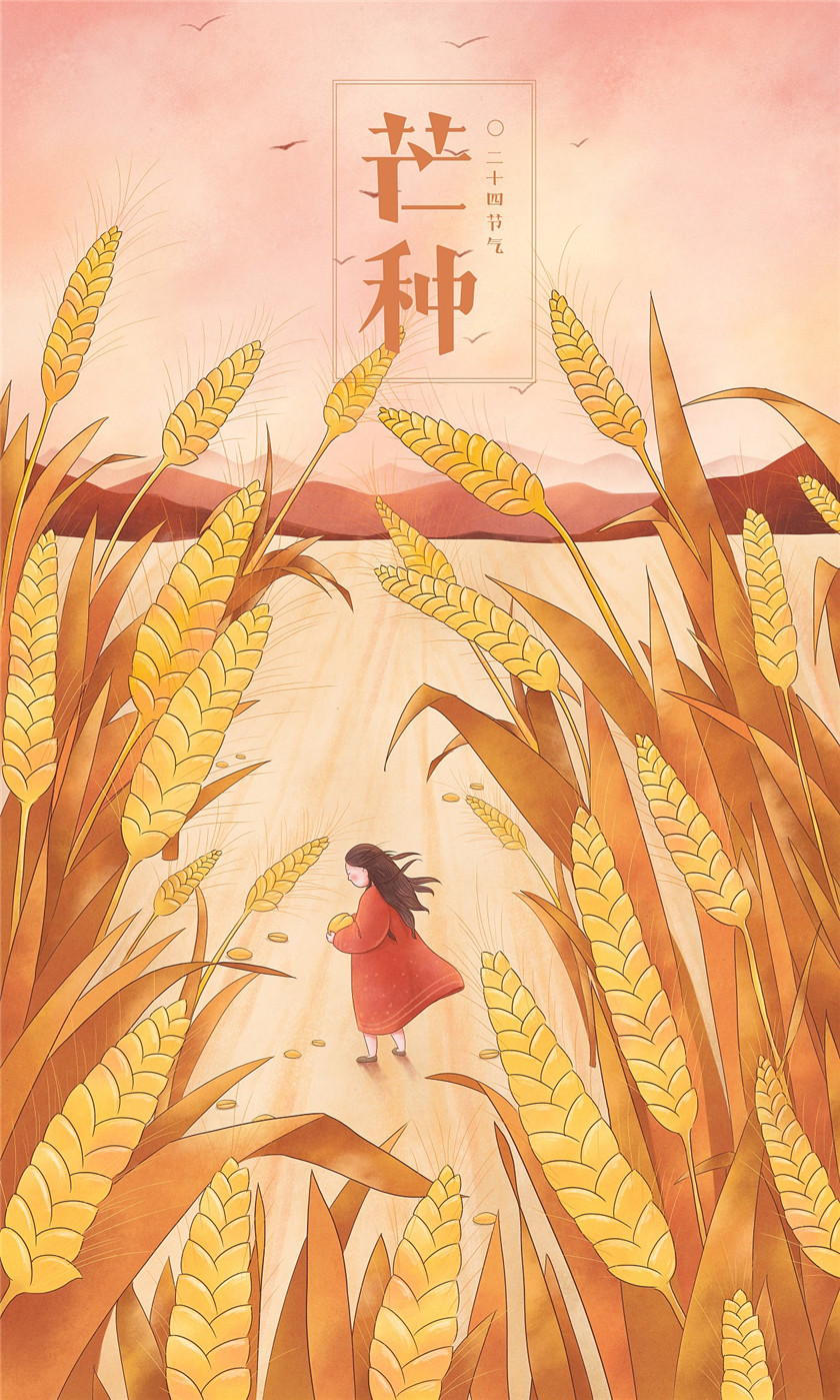 二十四节气 ︱ 芒种