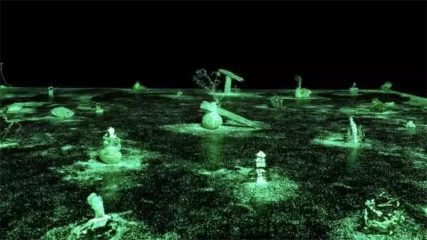 光影世界 | 梦幻海洋之旅